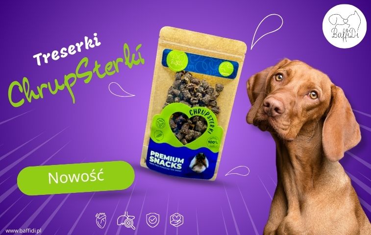 Nowość ChrupSterki