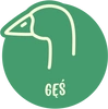 Gęś