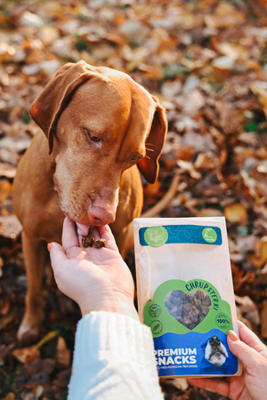 ChrupSterki dla psa - królik 90g