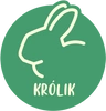 Królik