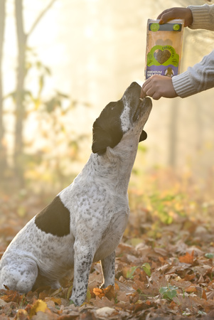 ChrupSterki dla psa - konina 90g