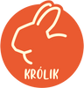 Królik