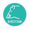 Dziczyzna