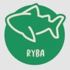 Ryba