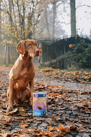 ChrupKule Mini dla psa - indyk z kokosem 100g