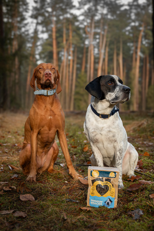 ChrupKersy dla psa - dziczyzna z liofilizowaną borówką amerykańską 90g