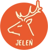Jeleń