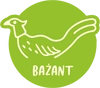 Bażant