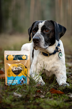 ChrupKersy dla psa - sarna z liofilizowaną maliną 90g