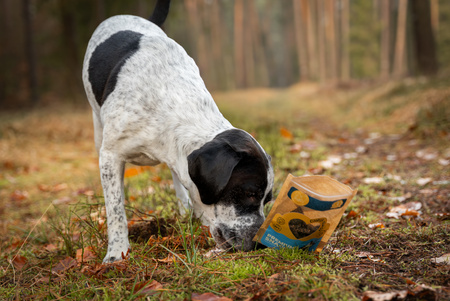 ChrupKersy dla psa - dziczyzna z liofilizowaną borówką amerykańską 90g