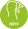 Indyk