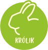 Królik