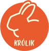 Królik