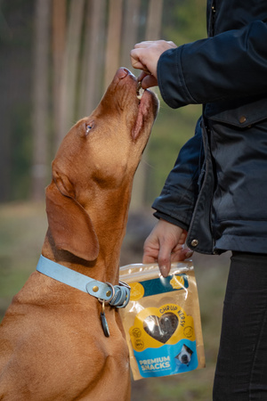 ChrupKersy dla psa - królik z liofilizowanym bananem 90g