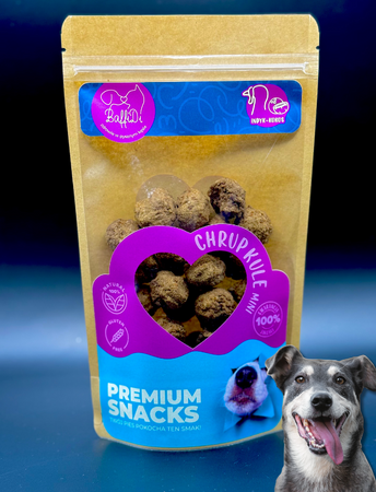 ChrupKule Mini dla psa - indyk z kokosem 100g