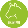 Konina