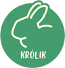 Królik