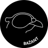 Bażant