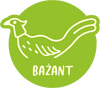 Bażant