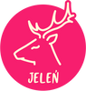 Jeleń