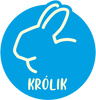 Królik
