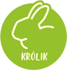 Królik