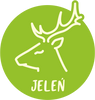 Jeleń